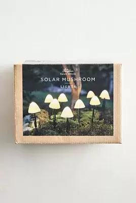 Stargazer Nature Effects Solar Mushroom Lights