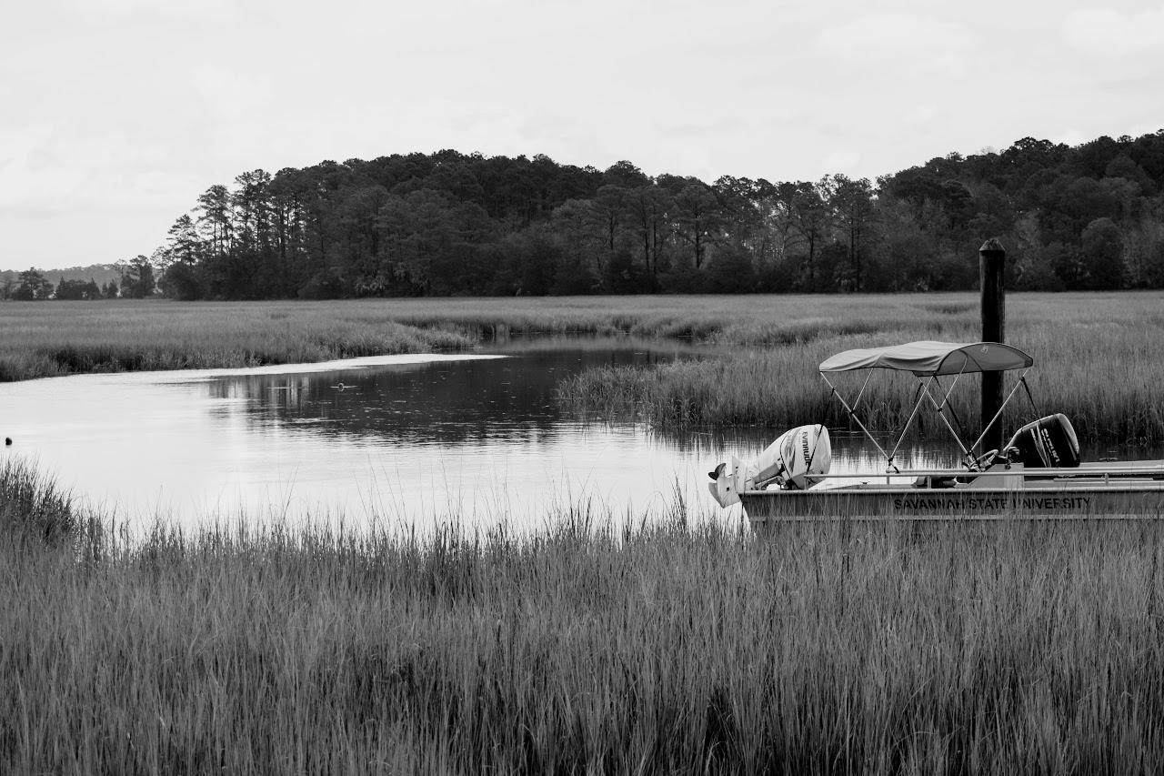 The Wedding Website of Tanya Burrwell and Anthony Dozier