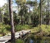 Lake Kissimmee State Park