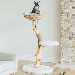 Uni Basket Bed Cat Tree