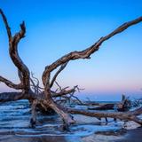 Big Talbot Island State Park