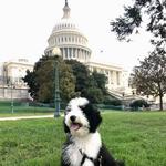 The National Mall