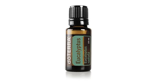 Eucalyptus Oil  Eucalyptus radiata