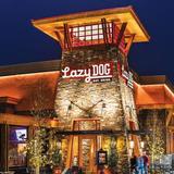 Lazy Dog Restaurant & Bar