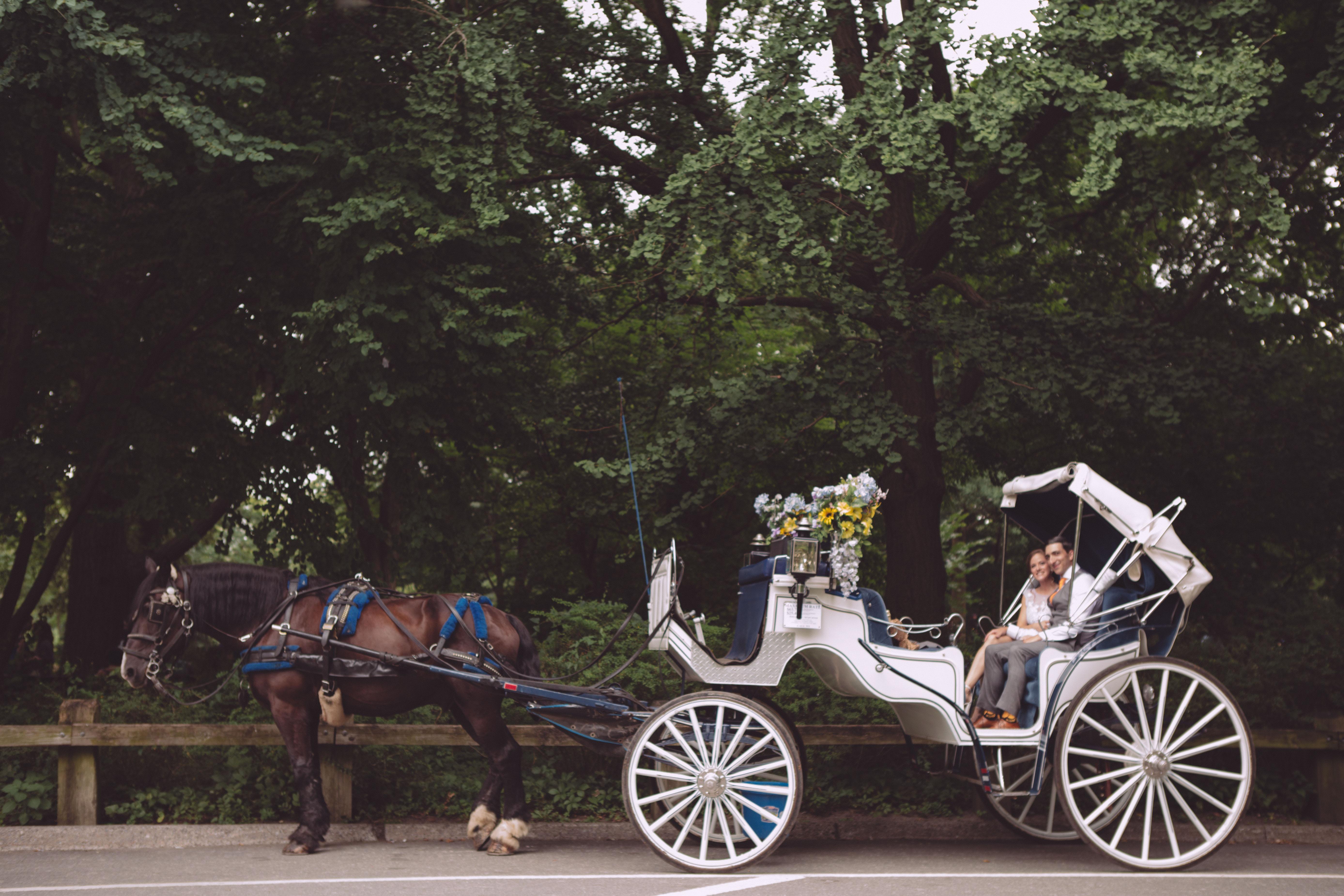 The Wedding Website of Carmen Caceres and Larry Discenza