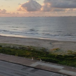 Galveston Beach