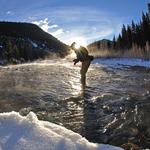 Fly Fishing