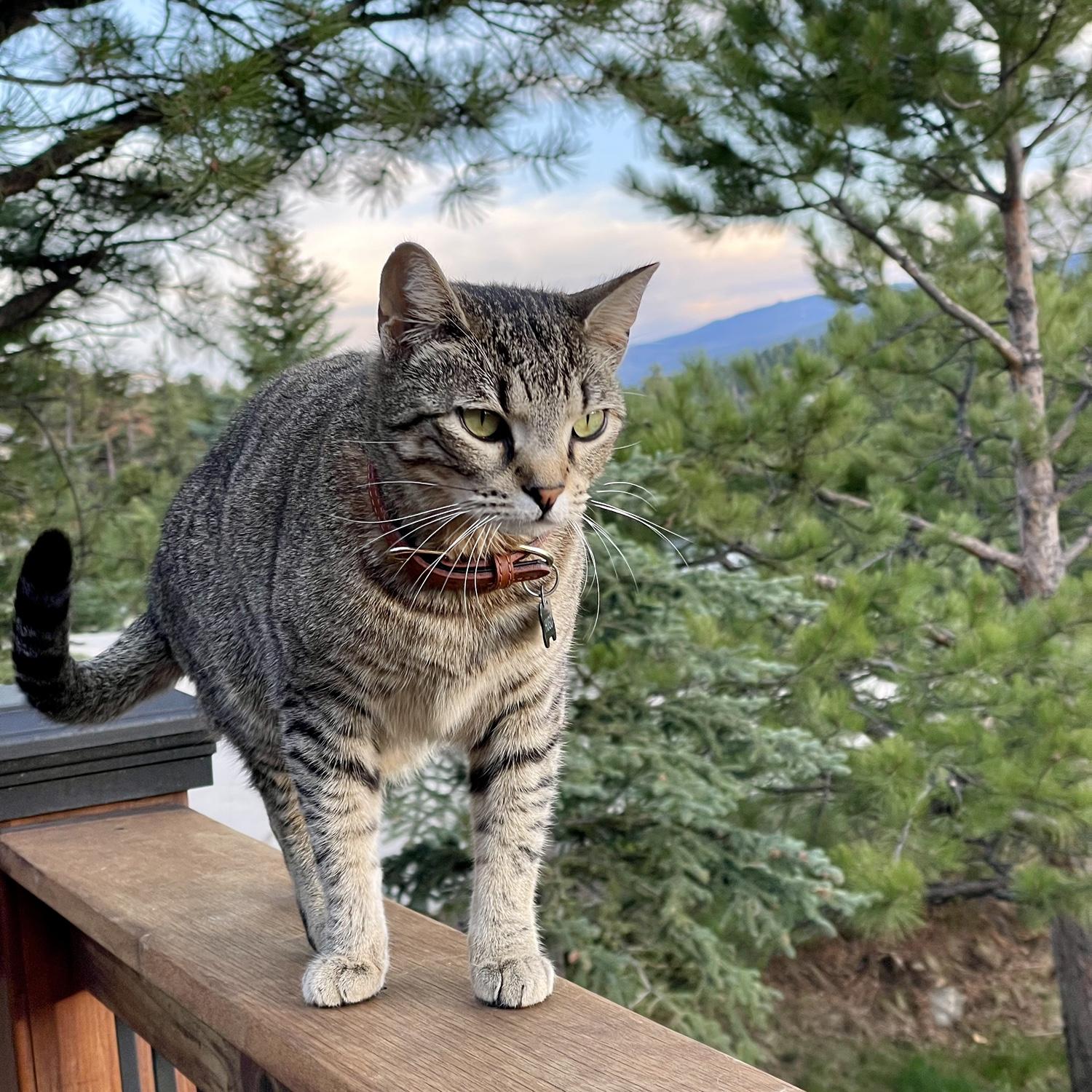 Our first child, Hugo - Evergreen, Colorado