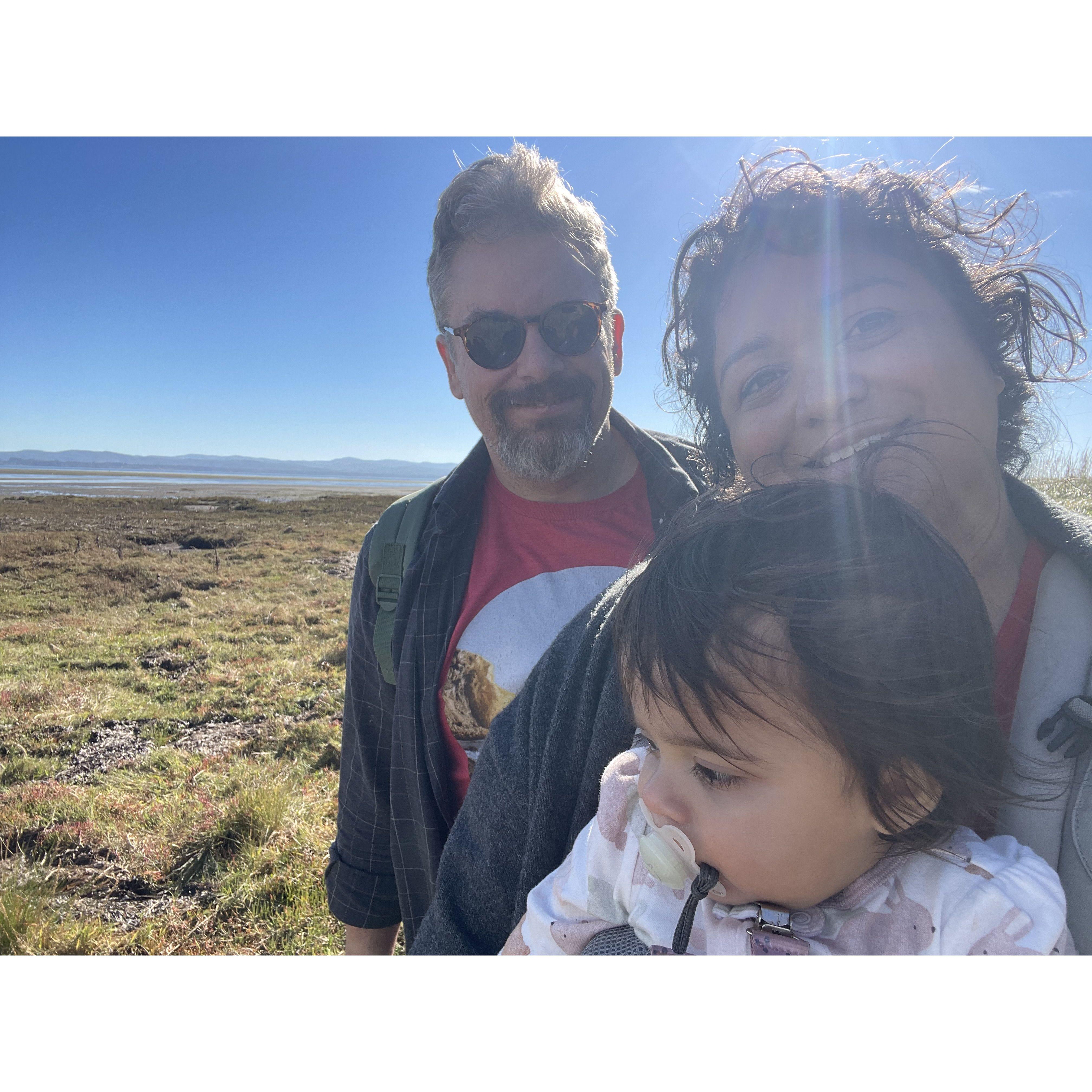 On a hike by Willapa Bay