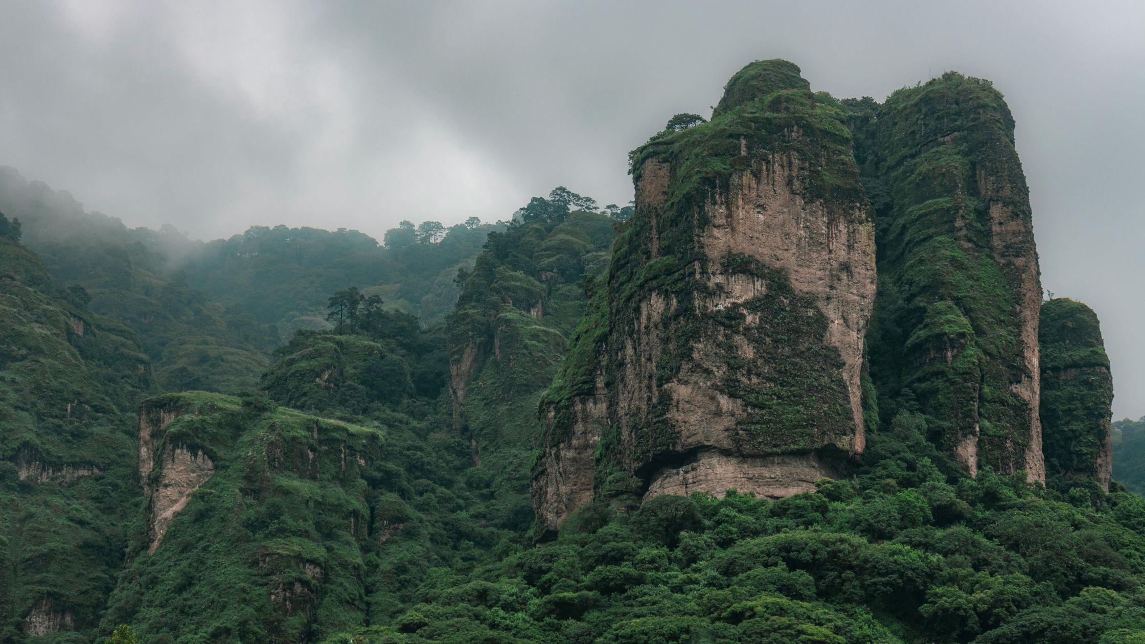 The Wedding Website of Paulina Lopez Holguin and Paul Rivero Zavala