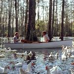 Cypress Gardens