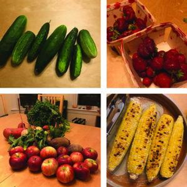 Vegetable fund