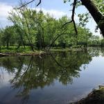 Mass Audubon Arcadia Wildlife Sanctuary