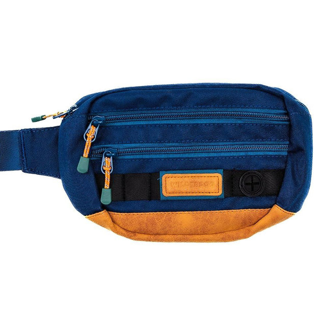 Wilderdog Utility Fanny Pack stores Treats, Balls, Keys in 3 Pockets with adjustable strap and Poop Bag dispenser (Pacific Blue)