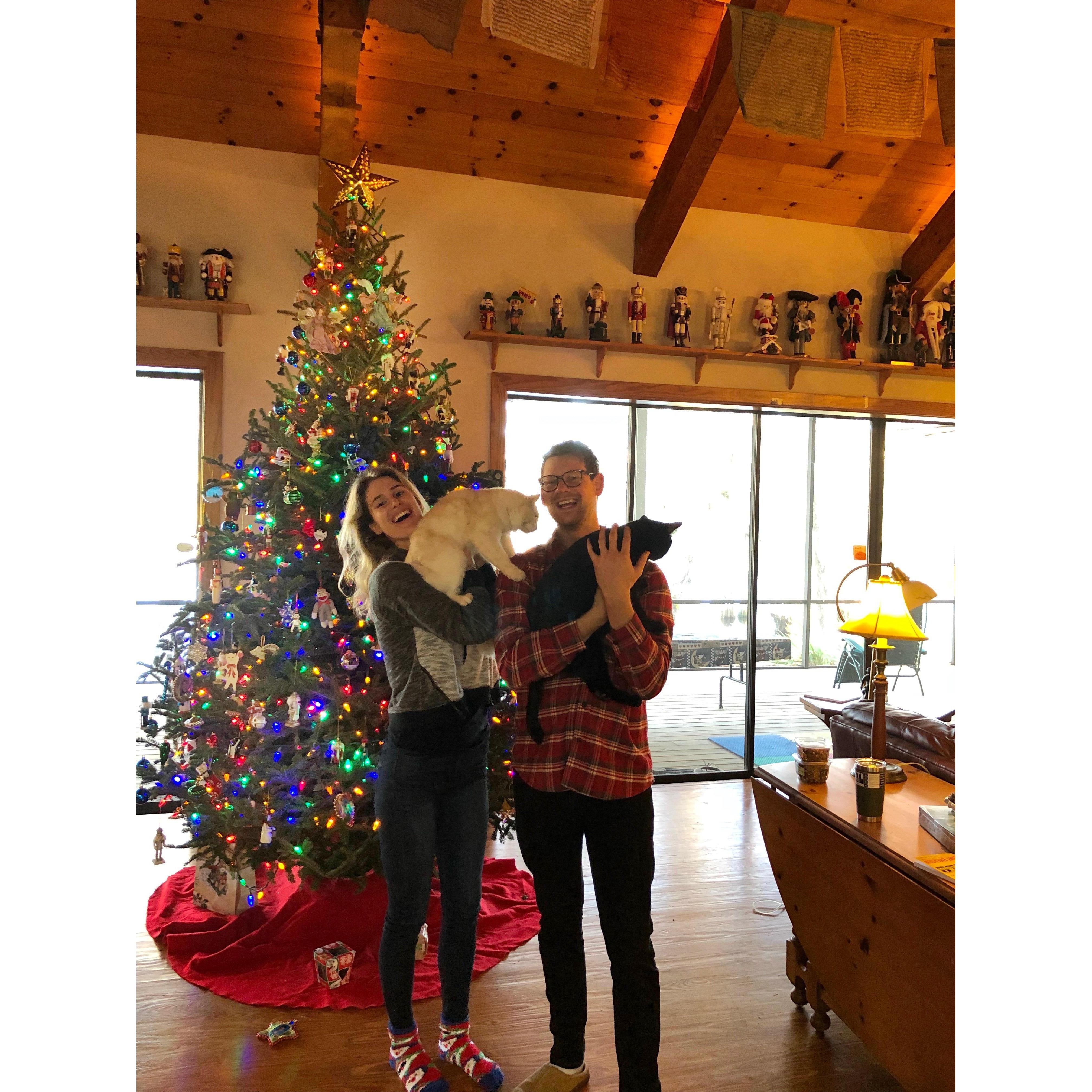 Christmas at the Martins' with our fur-babies, Max and Barnaby Jones