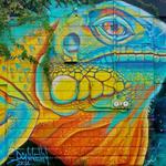 Second Saturday Art Walk