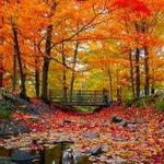 The best of Fall in Kennebunkport