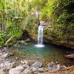El Yunque Rainforest