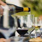 Wine Tasting
