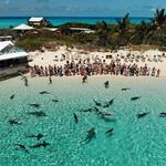 Powerboat Adventures - Exuma