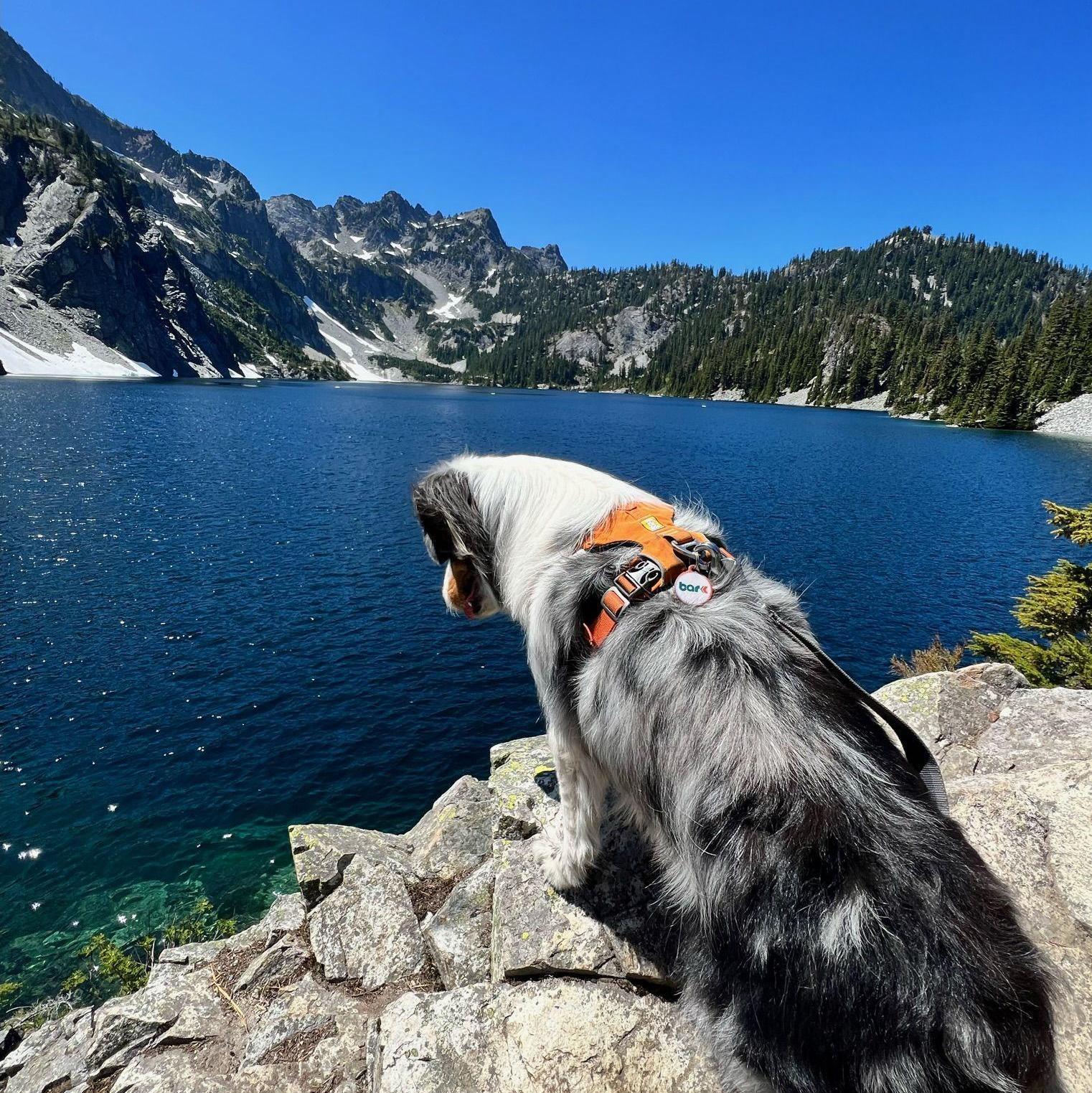 Exploring Washington