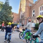 Pedego Electric Bikes Golden
