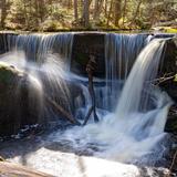 Enders State Forest