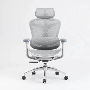Sihoo C300 Ergonomic Office Chair with Advanced Back Support - White / Standard Version