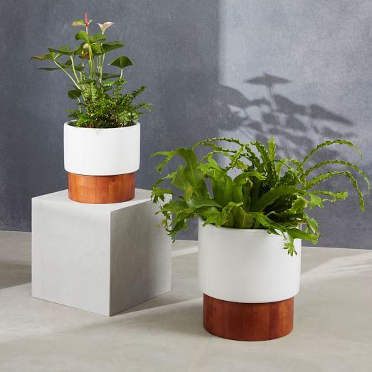 Large Wood Base Planters