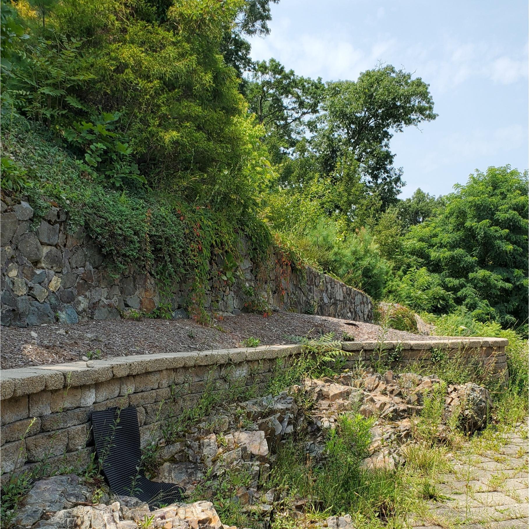 Future home of butterfly bushes? We think so!