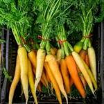 Sang Lee Farms