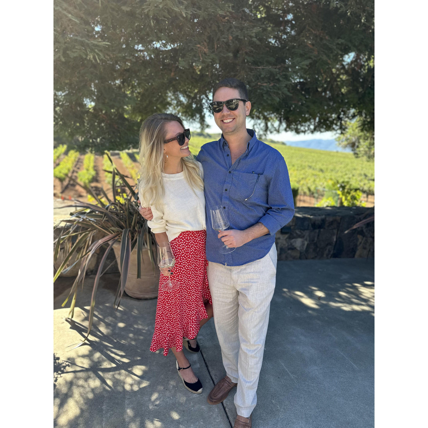 Vineyards in Napa