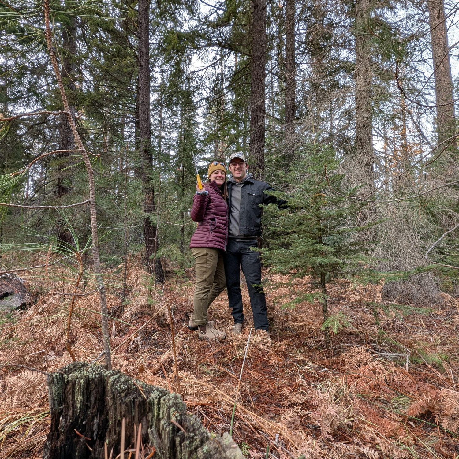First Christmas tree together!