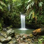 El Yunque National Forest - El Portal Visitor Center