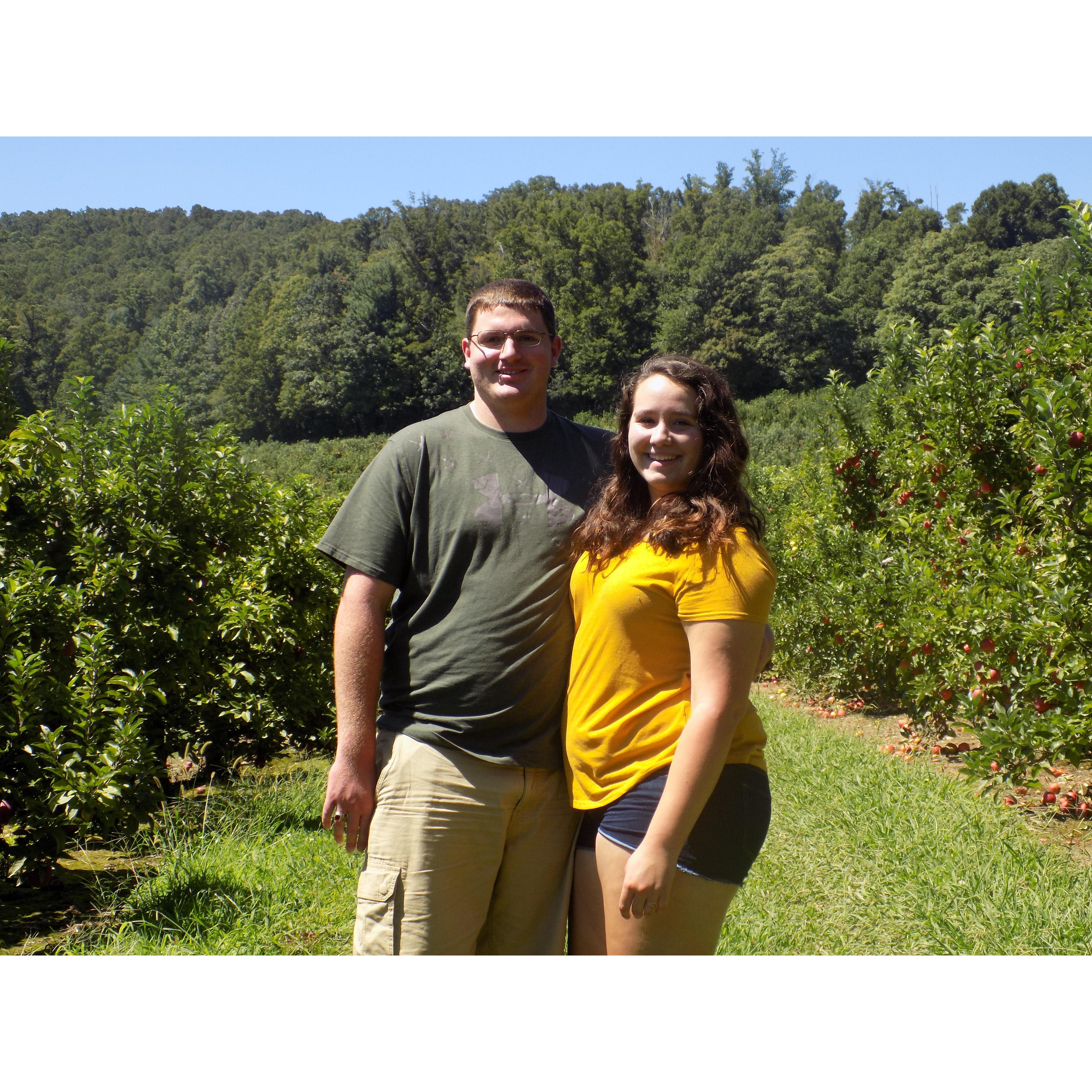 Apple Pickin' 2017