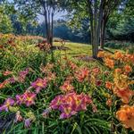 Gibbs Gardens