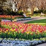 Cheekwood: Estate and Gardens