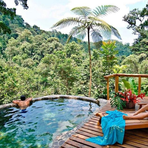 Honeymoon Forest Resort 4 Night Stay
