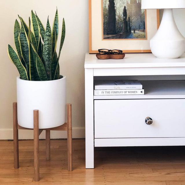 STNDRD. Indoor Plant Stand: Mid-Century Modern Bamboo Holder for Your Potted Plants & Flowers. Fits 10&quot; Round Planters