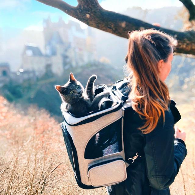 Arthemis - Modern Cat Backpack
