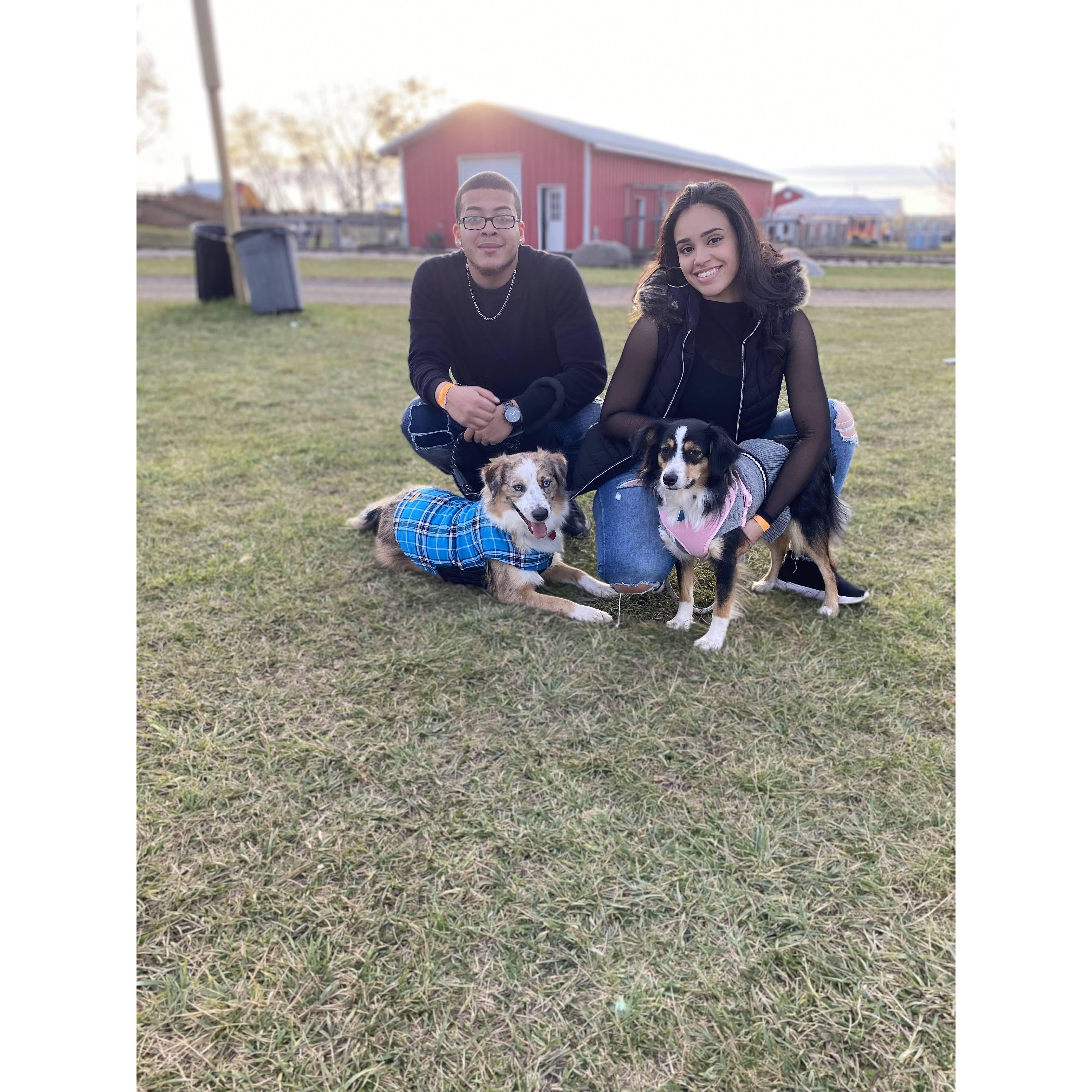 Farm Visit with the pups! 11.7.2021