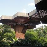 Jardín Botánico
