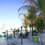 Square Grouper Tiki Bar Jupiter Inlet