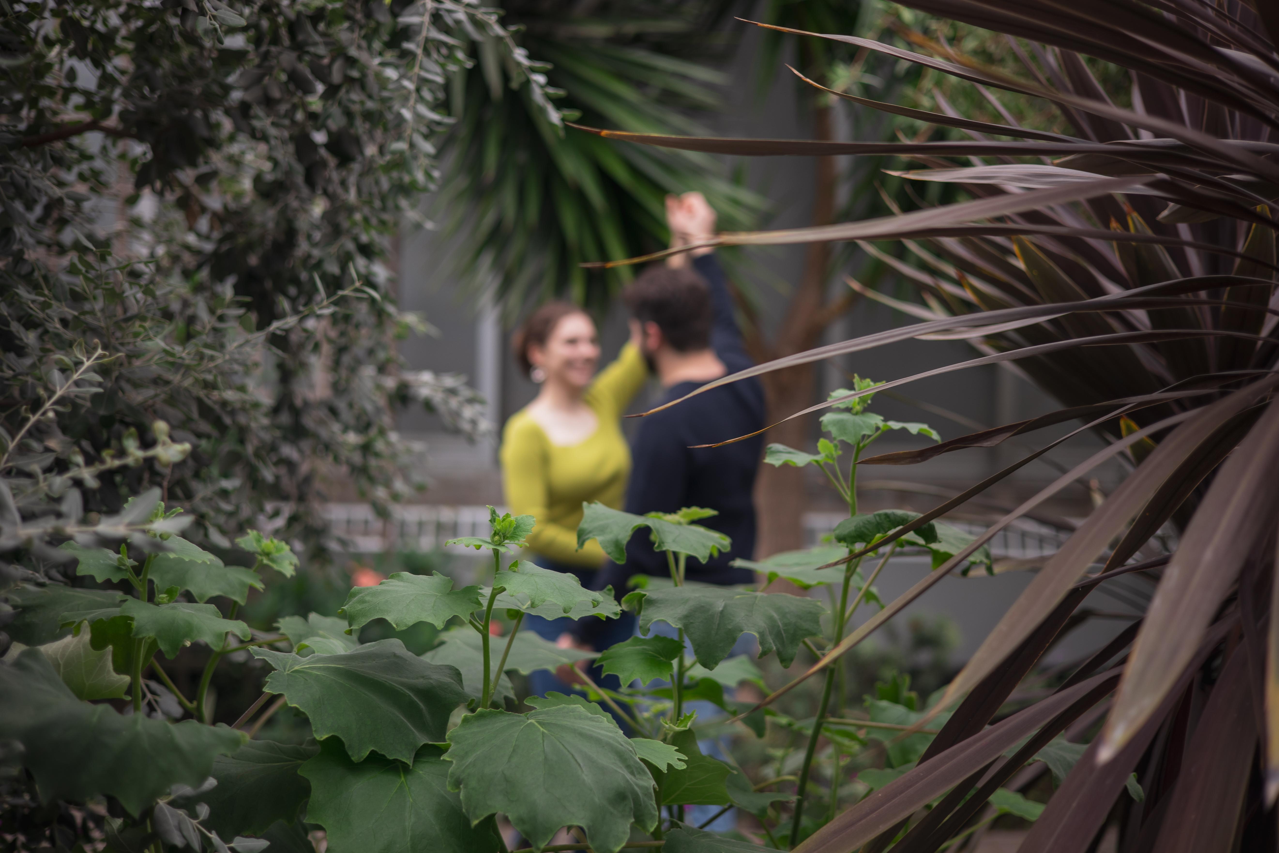 The Wedding Website of Grace Tate and Andrew Perabeau