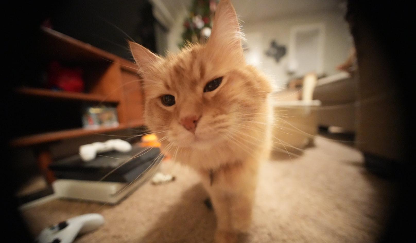 95bbd158-a3f5-4e0a-a373-18bd94fcdea6