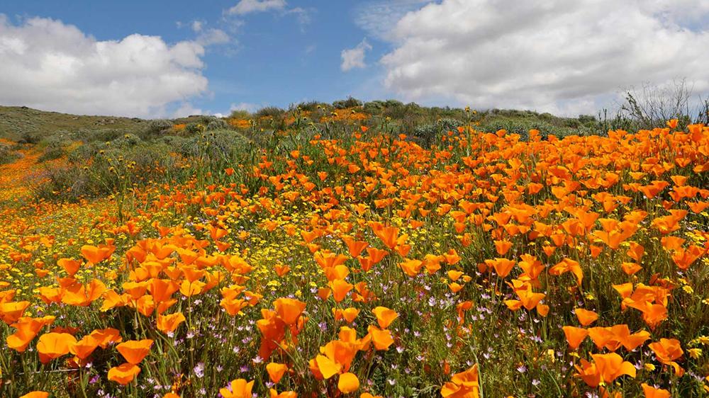 The Wedding Website of Randi McQueen and Luke Ladowski