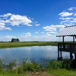 Sweetwater Wetlands Park