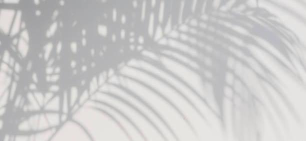 The Wedding Website of Leslie Godwin and Derek Garlich