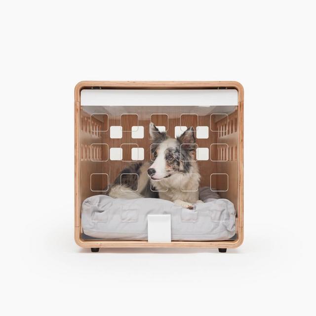 Crate - Clear Acrylic Gate, Medium