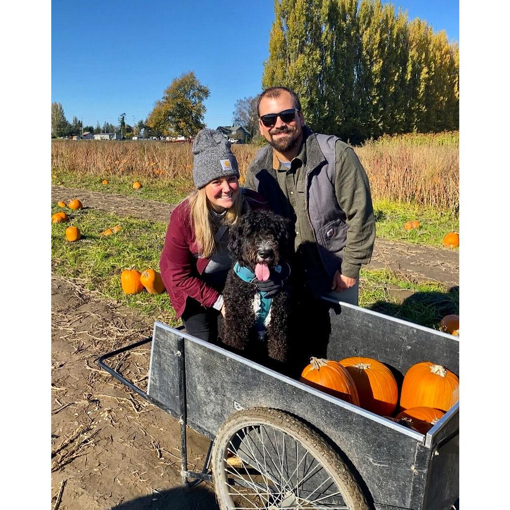 First Halloween in the PNW 2022